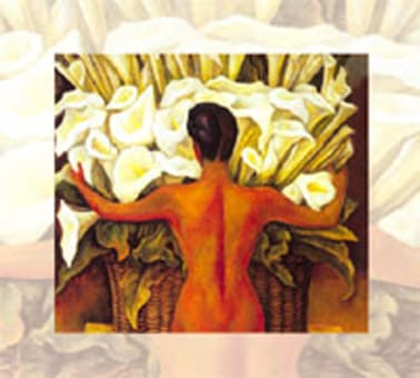 I diritti delle Donne: diritti di tutti